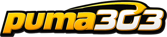 Logo puma303